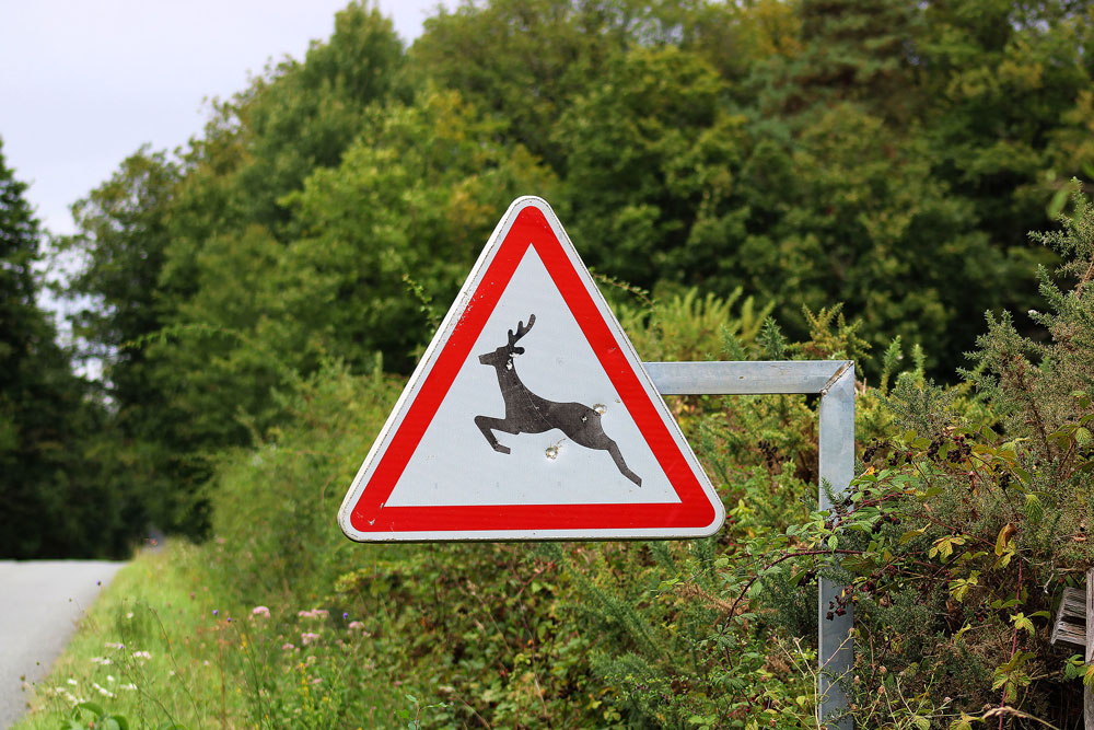 Triplesign System animal warning signs on roadside VMS for safer driving in wildlife areas